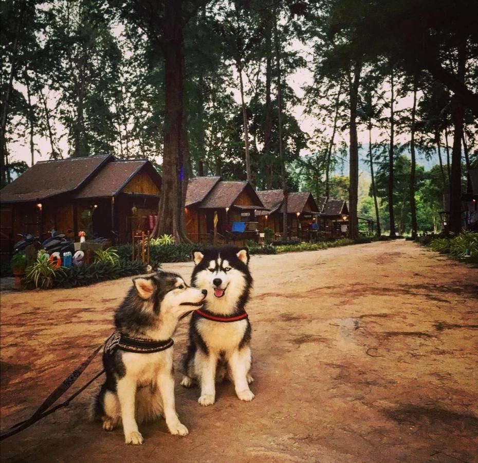 Eco Lanta Hideaway Beach Resort Koh Lanta Luaran gambar